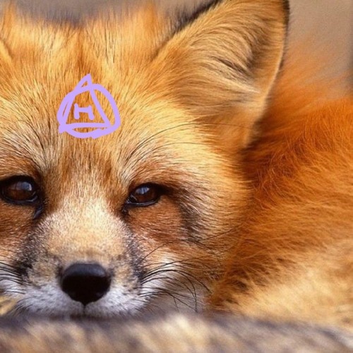 ╺⃝⃤Theiran Fox Morgan™╺⃝⃤’s avatar