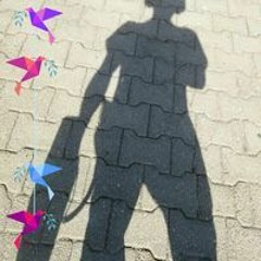 Kleiner Grüner Findus