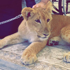 ro07liwa