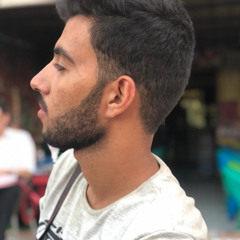 Akl M. Yehia