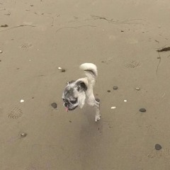 DJ NIGGAFART REVIVAL³