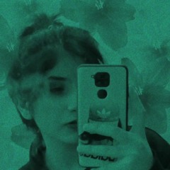fateme amerian