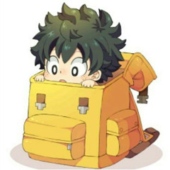 deku in a bag