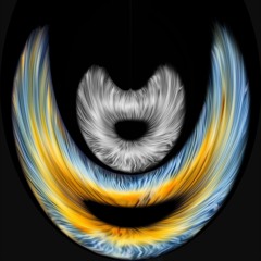 swisseye