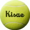 Kisaegui