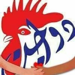 دواجن الحوت