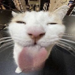 ⭐