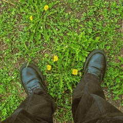 Tendar Alejandro Theran