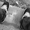 ItzDom420