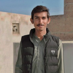 ZuLfi SyEd