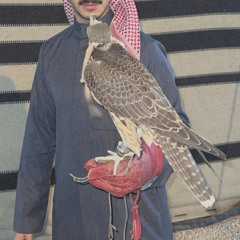 MNA