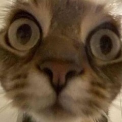 alexlol