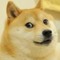 </Doge>