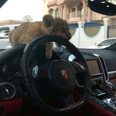 Debenedictis60363543