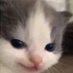quzum