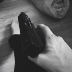 Pelgu.fsf