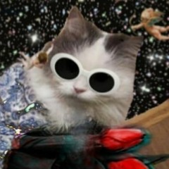 leancats