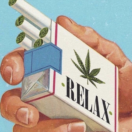 Alpha Detox - Kick and Melody Test