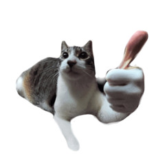 Tippy