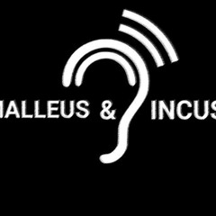 Malleus & Incus