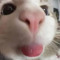 what you see in my soul