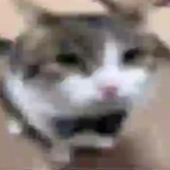 mj
