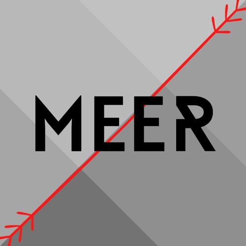 MEER’s avatar