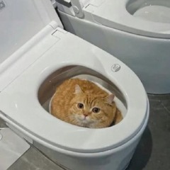 seri
