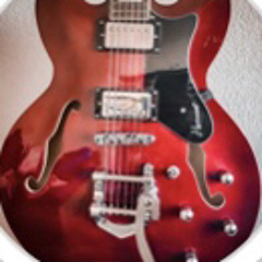 l.w.guitar