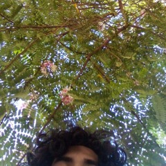 Mohamed Youssef