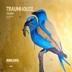 Traumhouse