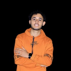 محمد فتحي اللحامي