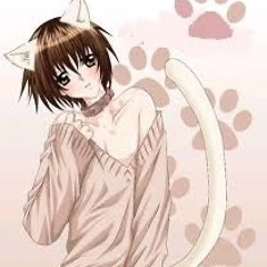 shiki