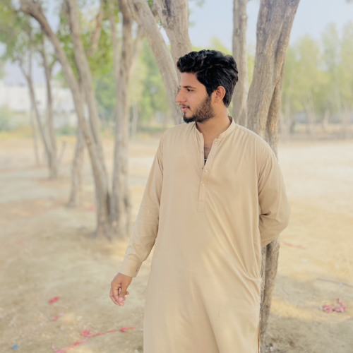 Awais Alii♥️ — artist photo