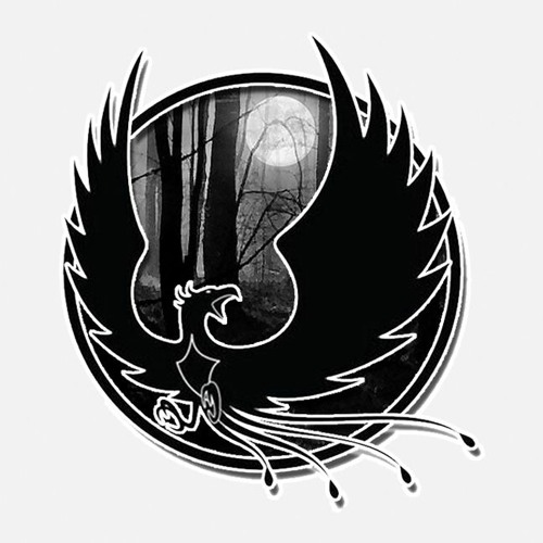 Shadow Phoenix 🌠’s avatar