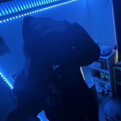 DROPTEXRS