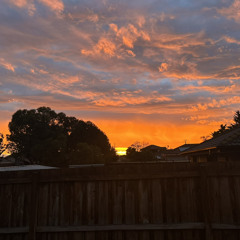 Little bit of everything