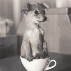 Fiffi
