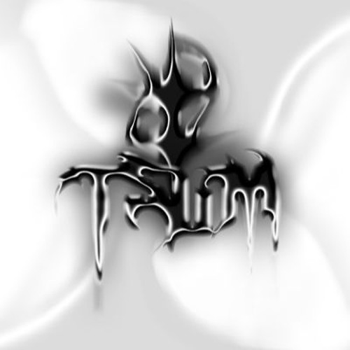 TSUM Records — artist photo