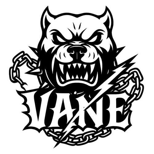 vANE — artist photo