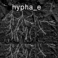 Projects.hyphae