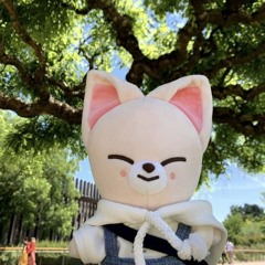 jeonginswife