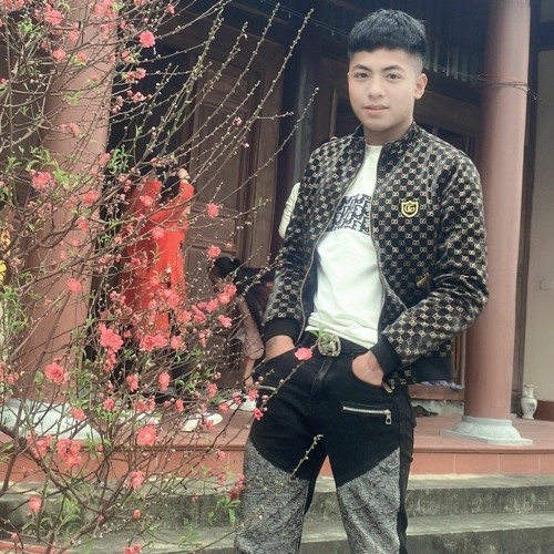 Quang Monkey’s avatar