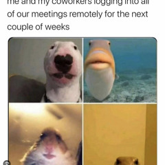 NO ONE IS HOME
