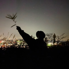 haruki kobayashi