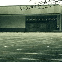 Weather Station Twins