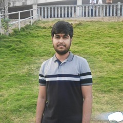 P Rahul Mistry