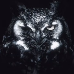 Teostra Music