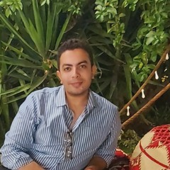 AbdElRahman M Elawa