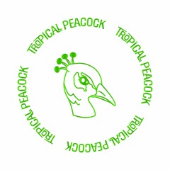 Tropical Peacock